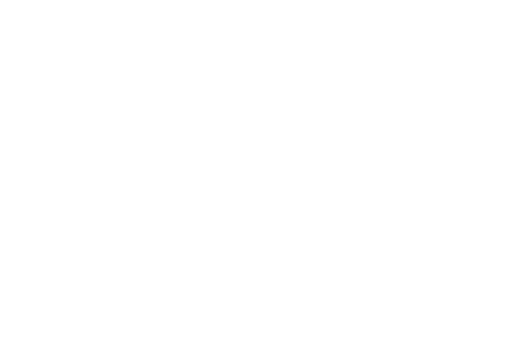 Fokofpolisiekar